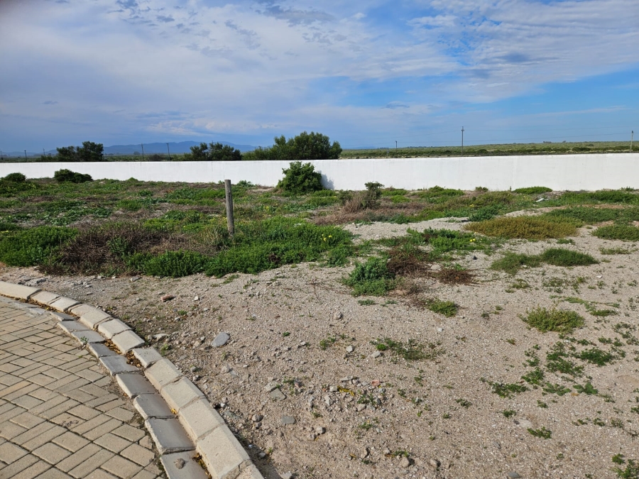 0 Bedroom Property for Sale in Dwarskersbos Western Cape